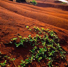 《遗迹2》将在PS5＆XSX上提供60FPS性能模式